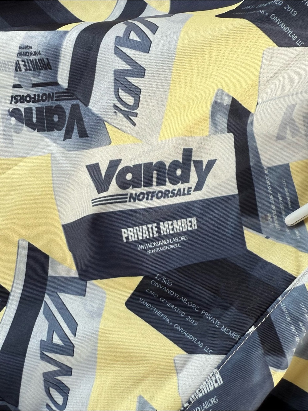 VandyThePink membership mono shorts - Picture 2 of 5